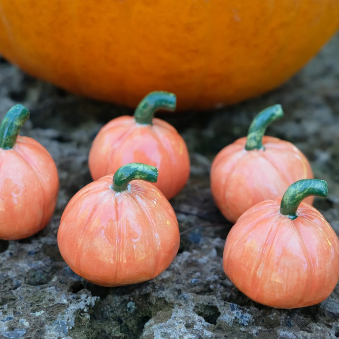 Zucchette Halloween